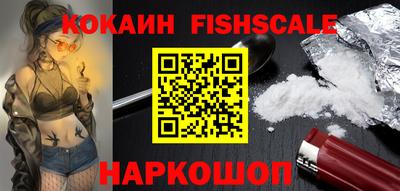 дмт Аргун