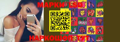 дмт Аргун