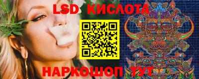 дмт Аргун
