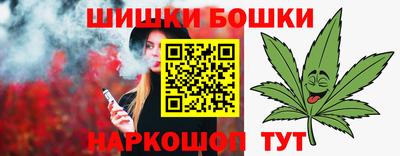 дмт Аргун