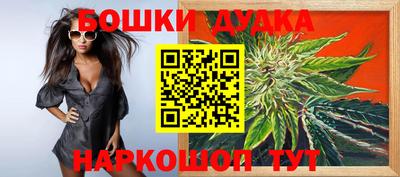 дмт Аргун