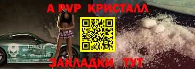 дмт Аргун