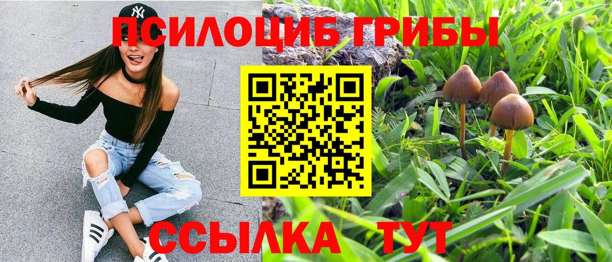 даркнет сайт  Вход с VPN  Всеволожск  Псилоцибиновые грибы Psilocybine cubensis 