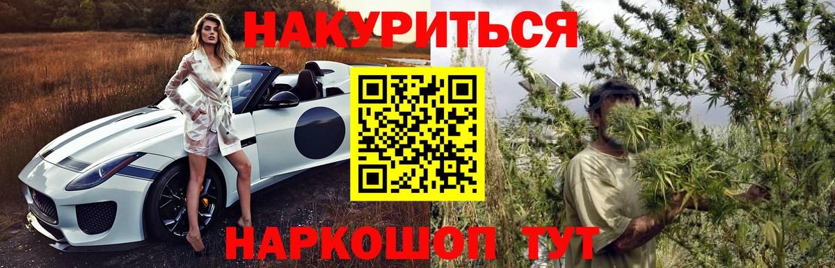 Каннабис ГИДРОПОН  Бошки Шишки Amnesia  Вход с VPN  Шишки марихуана семена  Всеволожск  Бошки Шишки планчик 